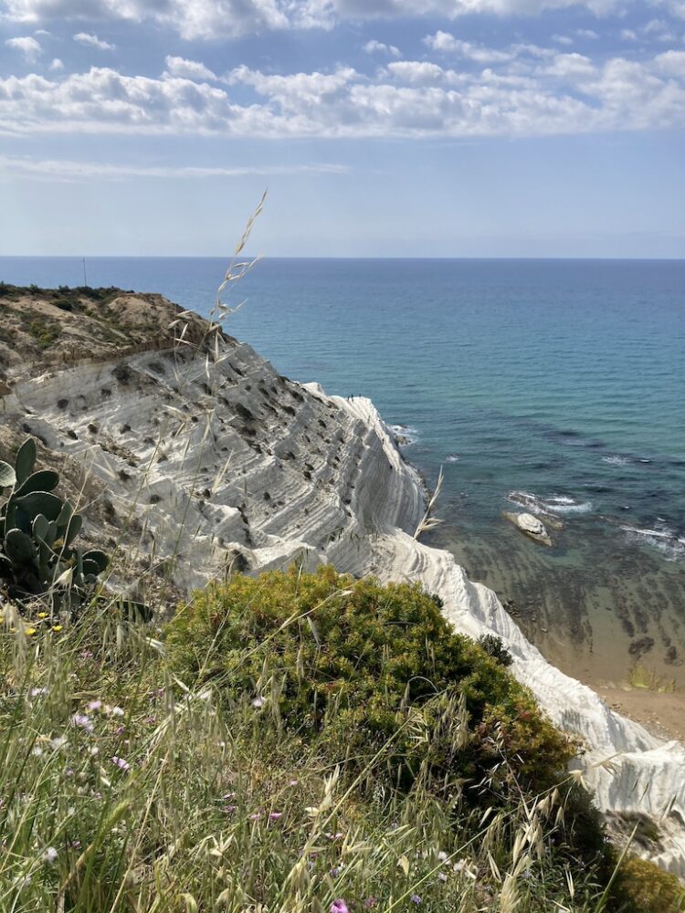 Der beste Blog über den FC Palermo: Pasta Rosanero