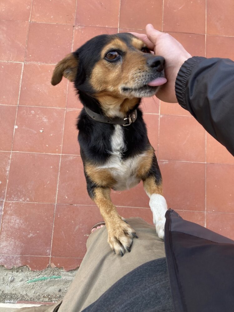 Der beste Blog über den FC Palermo: Pasta Rosanero