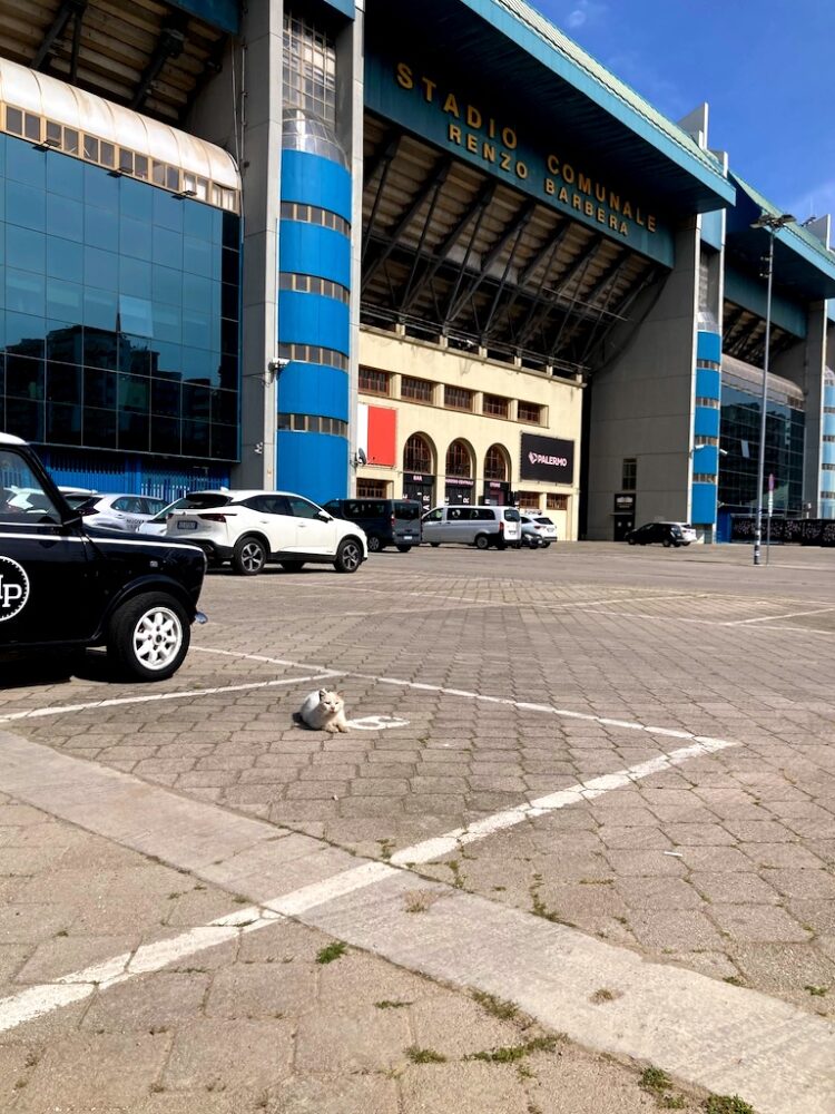 Der beste Blog über den FC Palermo: Pasta Rosanero